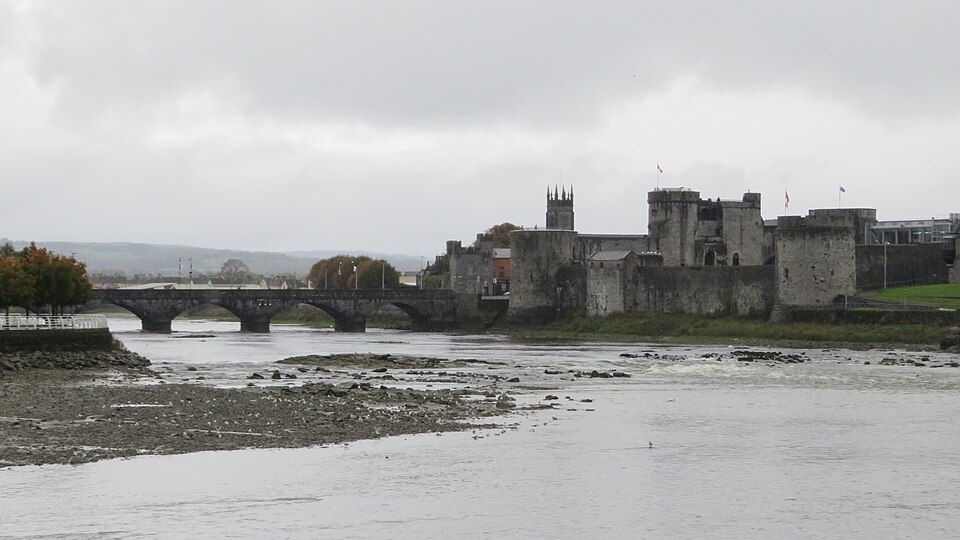Council from Limerick