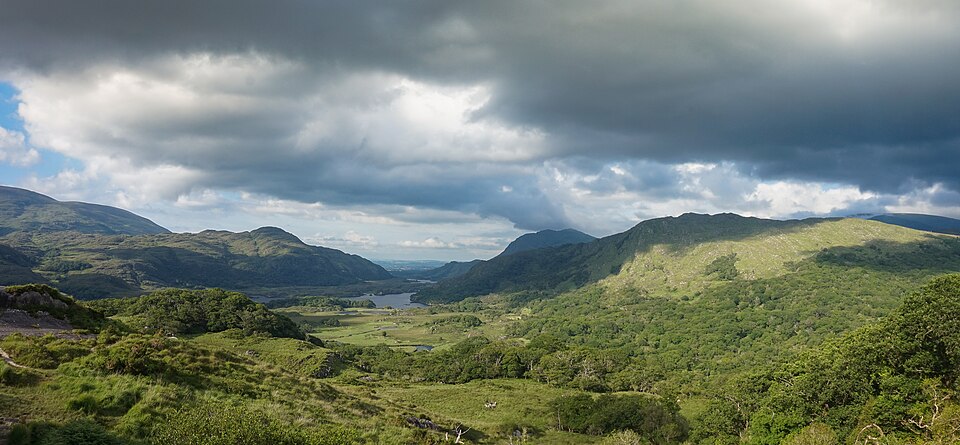 Courts from Kerry