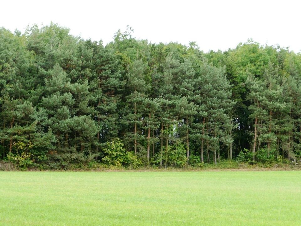 Environment from Kildare